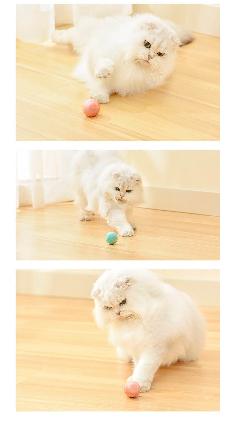 Smart Cat Rolling Ball – Automatic Interactive Pet Toy