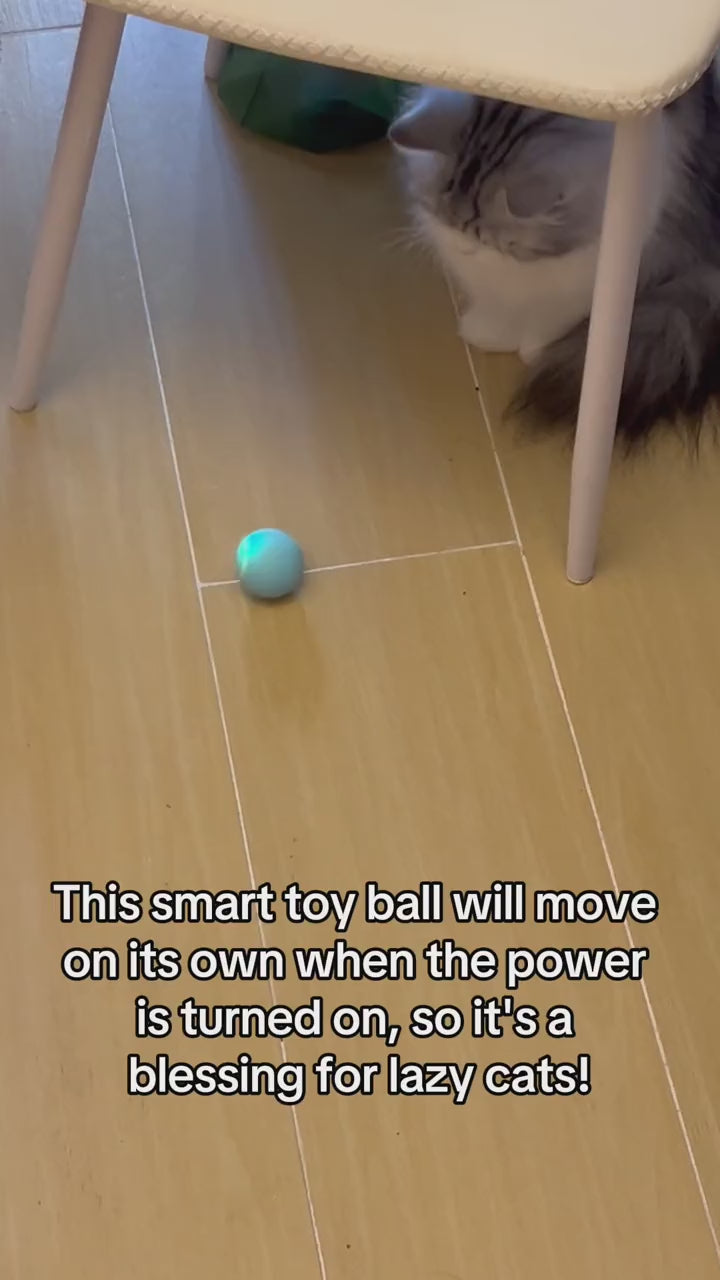 Smart Cat Rolling Ball – Automatic Interactive Pet Toy