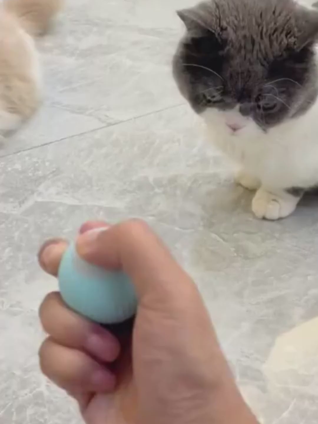 Smart Cat Rolling Ball – Automatic Interactive Pet Toy