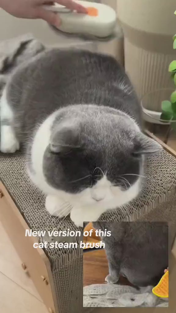 Cat Steam Brush 3-in-1 Electric Grooming Comb for Pets