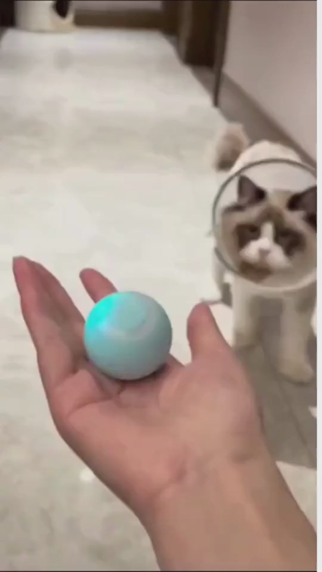 Smart Cat Rolling Ball – Automatic Interactive Pet Toy