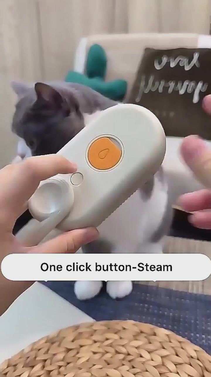 Cat Steam Brush 3-in-1 Electric Grooming Comb for Pets