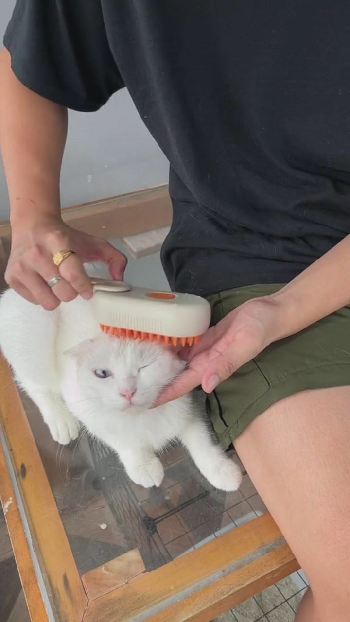 Cat Steam Brush 3-in-1 Electric Grooming Comb for Pets