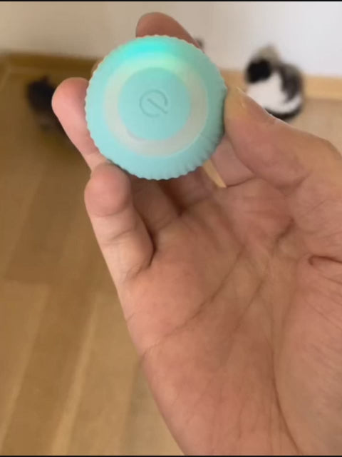 Smart Cat Rolling Ball – Automatic Interactive Pet Toy