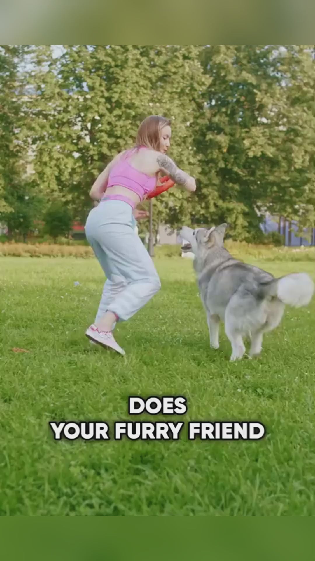 Smart Cat Rolling Ball – Automatic Interactive Pet Toy