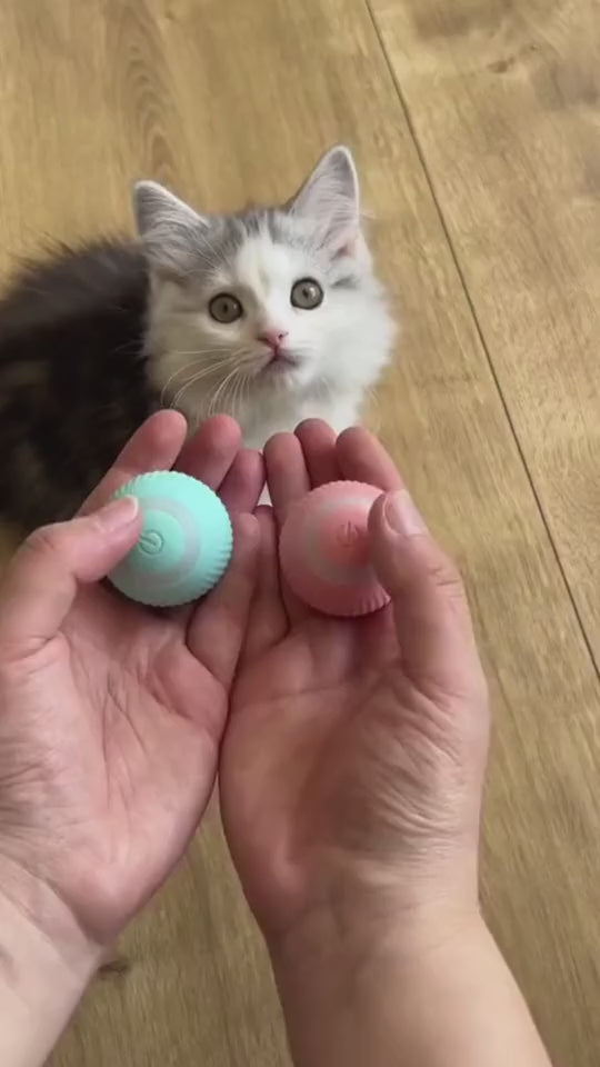 Smart Cat Rolling Ball – Automatic Interactive Pet Toy