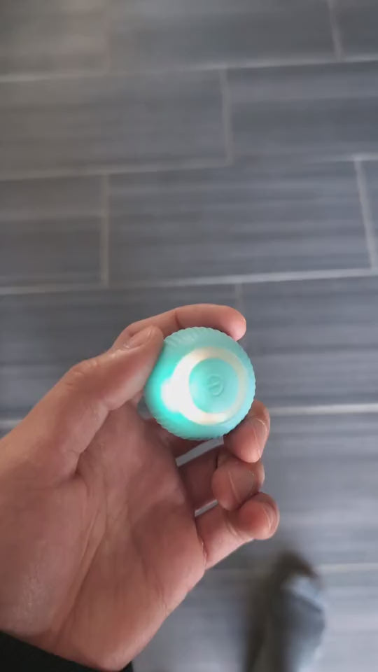 Smart Cat Rolling Ball – Automatic Interactive Pet Toy