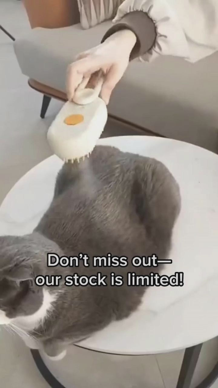 Cat Steam Brush 3-in-1 Electric Grooming Comb for Pets